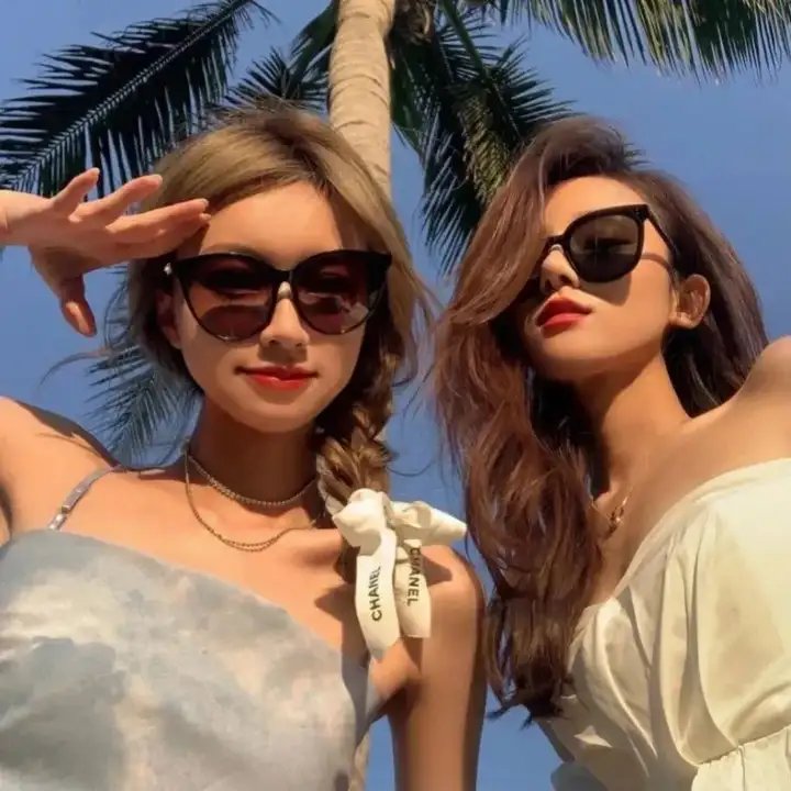 萌犬好声音3