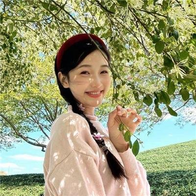 彩叶草之梦